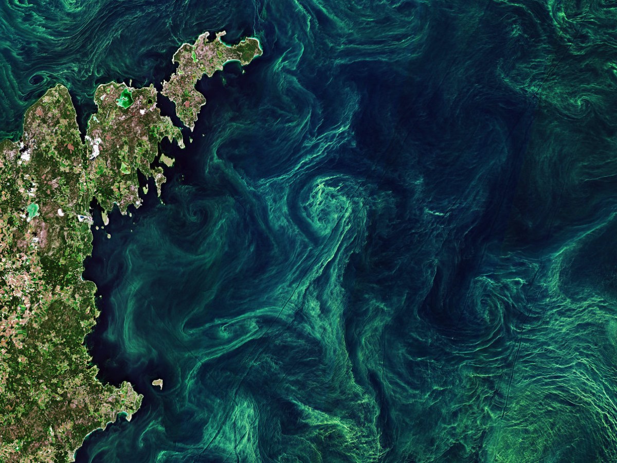 Interview: international law still does not fully consider ecosystem&nbsp;integrity